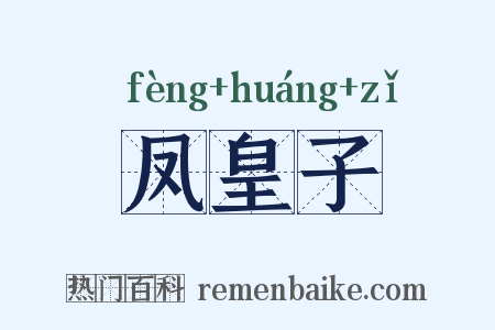 凤皇子是什么意思的图片